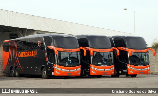 Catedral Turismo 18254 na cidade de São Paulo, São Paulo, Brasil, por Cristiano Soares da Silva. Número da foto: #6216447.