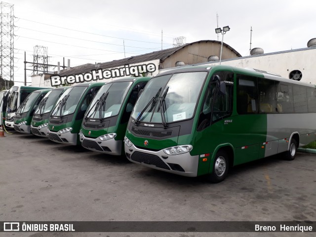 Move  na cidade de Brasil, por Breno  Henrique. Número da foto: #6218461.