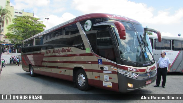 Santa Maria Fretamento e Turismo > Transportes Santa Maria(SP) 560 na cidade de Aparecida, São Paulo, Brasil, por Alex Ramos Ribeiro. Número da foto: #6218657.