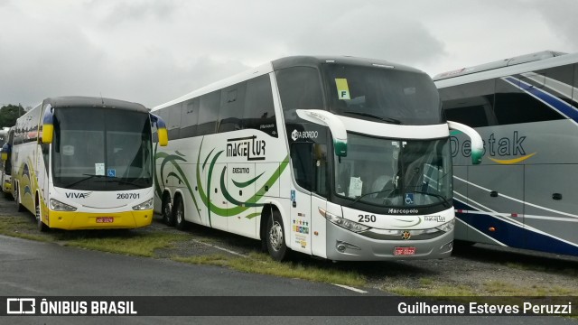 Maciel Tur 250 na cidade de São Paulo, São Paulo, Brasil, por Guilherme Esteves Peruzzi. ID da foto: 6222685.