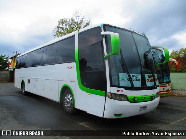 Arros Viajes YU5573 na cidade de Santa Cruz, Colchagua, Libertador General Bernardo O'Higgins, Chile, por Pablo Andres Yavar Espinoza. Número da foto: #6221785.