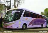 TransMargoo 1031 na cidade de Petrópolis, Rio de Janeiro, Brasil, por Victor Henrique. Número da foto: #:id.