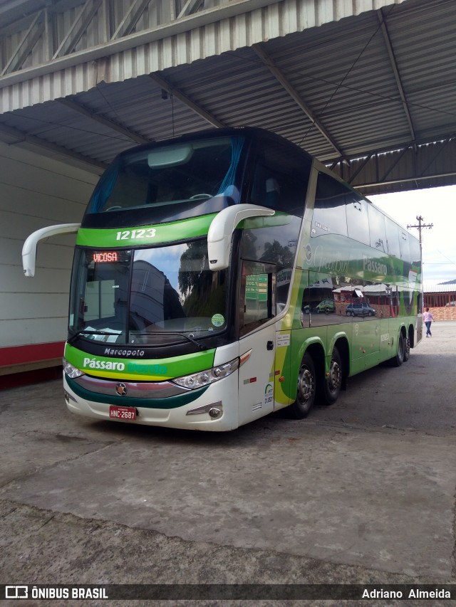 Pássaro Verde 12123 na cidade de Ouro Preto, Minas Gerais, Brasil, por Adriano  Almeida. Número da foto: #6225270.