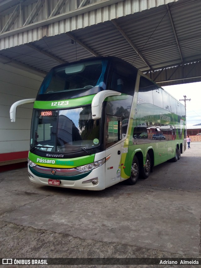 Pássaro Verde 12123 na cidade de Ouro Preto, Minas Gerais, Brasil, por Adriano  Almeida. ID da foto: 6225270.