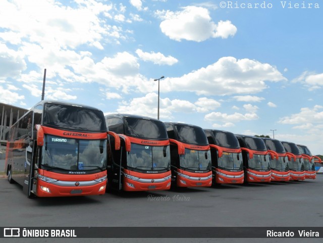 Catedral Turismo 18238 na cidade de Brasília, Distrito Federal, Brasil, por Ricardo Vieira. ID da foto: 6227424.