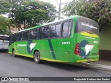 Setelagoano 1021 na cidade de Curvelo, Minas Gerais, Brasil, por Reginaldo Barbosa dos Santos. Número da foto: #:id.