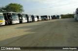 Preto Locação 0314 na cidade de Bom Jesus da Lapa, Bahia, Brasil, por Juninho Nogueira. Número da foto: #6236924.