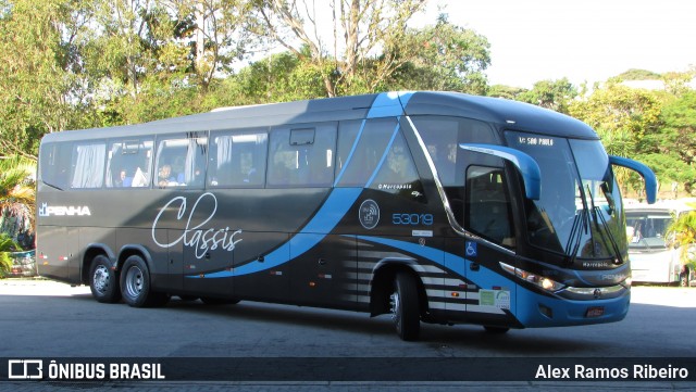 Empresa de Ônibus Nossa Senhora da Penha 53019 na cidade de Taubaté, São Paulo, Brasil, por Alex Ramos Ribeiro. ID da foto: 6244845.