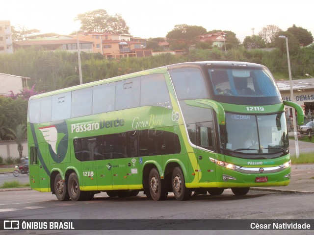 Pássaro Verde 12119 na cidade de Ouro Preto, Minas Gerais, Brasil, por César Natividade. Número da foto: #6244376.