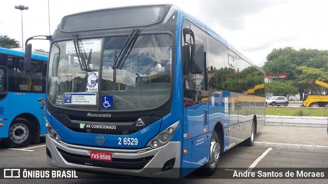Transcooper > Norte Buss 2 6529 na cidade de São Paulo, São Paulo, Brasil, por Andre Santos de Moraes. Número da foto: #6242263.