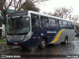 Gralha Azul 661 na cidade de Caxias do Sul, Rio Grande do Sul, Brasil, por Carlos Gabriel. Número da foto: #6244722.