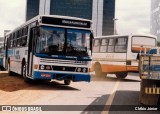 Rápido Planaltina 1317 na cidade de Brasília, Distrito Federal, Brasil, por Clébio Júnior. Número da foto: #6243771.