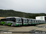 Turin Transportes FROTA na cidade de Ouro Branco, Minas Gerais, Brasil, por Sérgio A.  B.  Canuto. Número da foto: #6248437.