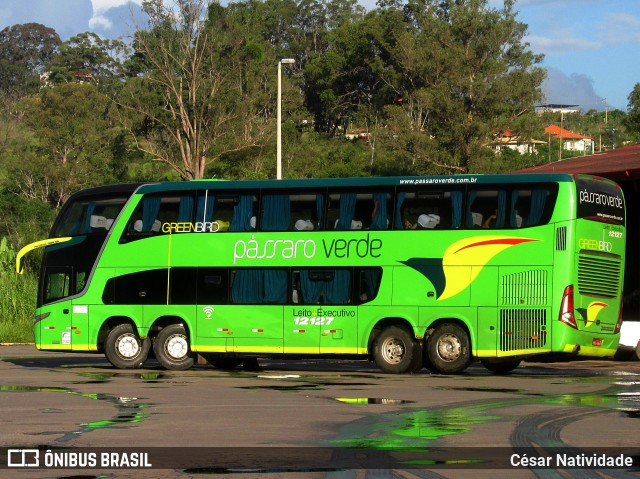 Pássaro Verde 12127 na cidade de Ouro Preto, Minas Gerais, Brasil, por César Natividade. Número da foto: #6255718.