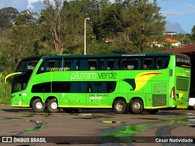 Pássaro Verde 12127 na cidade de Ouro Preto, Minas Gerais, Brasil, por César Natividade. ID da foto: 6255718.