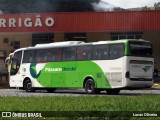 Pássaro Verde 29015 na cidade de Manhuaçu, Minas Gerais, Brasil, por Lucas Oliveira. Número da foto: #:id.