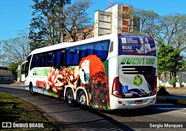 Eucatur - Empresa União Cascavel de Transportes e Turismo 4919 na cidade de Porto Alegre, Rio Grande do Sul, Brasil, por Sergio Marques . Número da foto: #6200793.