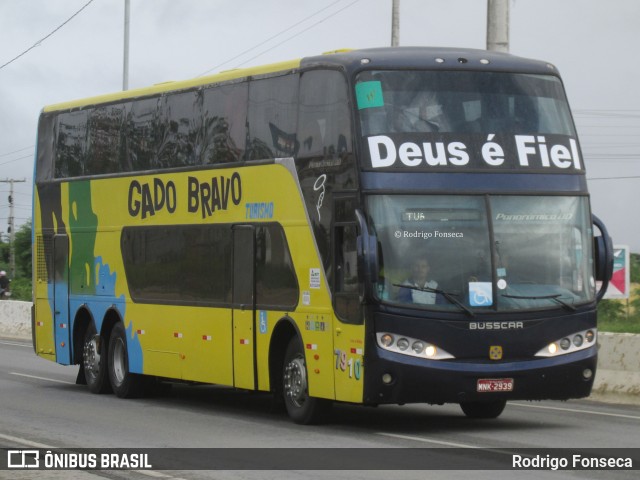 Gado Bravo Turismo 7910 na cidade de Caruaru, Pernambuco, Brasil, por Rodrigo Fonseca. ID da foto: 6201958.