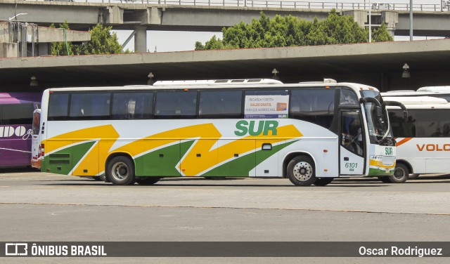 Autobuses Sur 6101 na cidade de Brasil, por Oscar Rodriguez . ID da foto: 6203553.