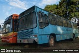 Ônibus Particulares 204 na cidade de Curitiba, Paraná, Brasil, por Marco Aurélio Batista e Silva. ID da foto: :id.