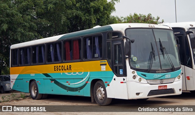Rosa Turismo 2931 na cidade de Sorocaba, São Paulo, Brasil, por Cristiano Soares da Silva. Número da foto: #6208314.