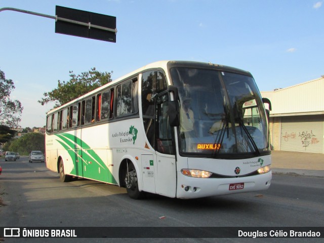 Auxílio Pedagógico & Excursões 9052 na cidade de Belo Horizonte, Minas Gerais, Brasil, por Douglas Célio Brandao. ID da foto: 6209346.