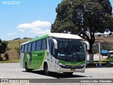 Pássaro Verde 1043 na cidade de João Monlevade, Minas Gerais, Brasil, por Antonio Carlos Fernandes. Número da foto: #:id.