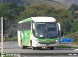 Pássaro Verde 11097 na cidade de Manhuaçu, Minas Gerais, Brasil, por Fábio Sales. Número da foto: #:id.