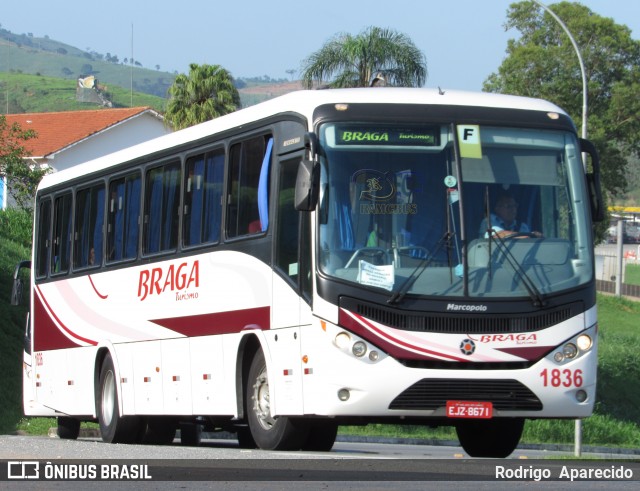 Braga Turismo 1836 na cidade de Aparecida, São Paulo, Brasil, por Rodrigo  Aparecido. Número da foto: #6281552.