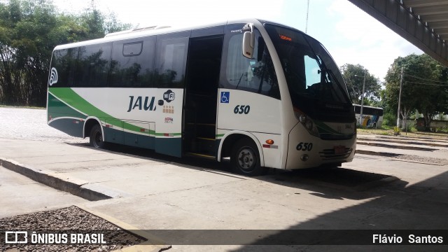 Viação Jauá 650 na cidade de Cruz das Almas, Bahia, Brasil, por Flávio  Santos. ID da foto: 6279781.