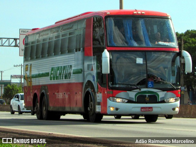 Eucatur - Empresa União Cascavel de Transportes e Turismo 4429 na cidade de Belo Horizonte, Minas Gerais, Brasil, por Adão Raimundo Marcelino. Número da foto: #6283984.