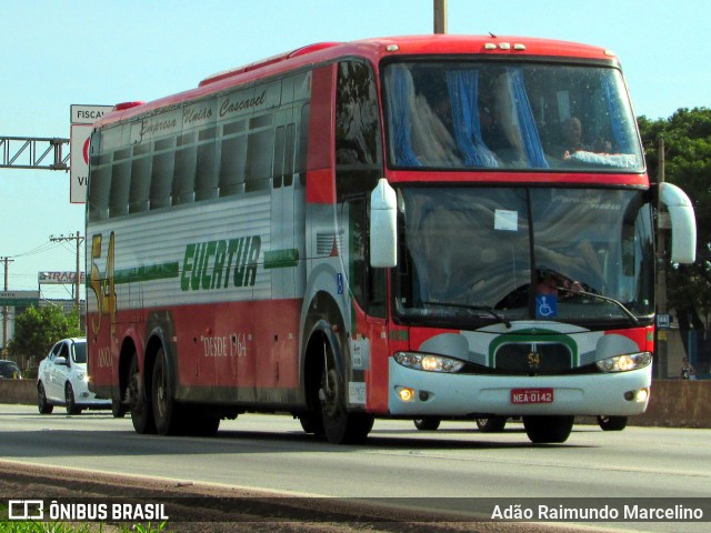 Eucatur - Empresa União Cascavel de Transportes e Turismo 4429 na cidade de Belo Horizonte, Minas Gerais, Brasil, por Adão Raimundo Marcelino. ID da foto: 6283984.