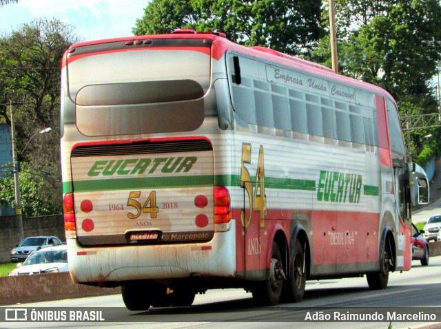 Eucatur - Empresa União Cascavel de Transportes e Turismo 4429 na cidade de Belo Horizonte, Minas Gerais, Brasil, por Adão Raimundo Marcelino. ID da foto: 6283989.