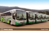 Turin Transportes 1250 na cidade de Ouro Branco, Minas Gerais, Brasil, por Daniel Gomes. Número da foto: #6284899.