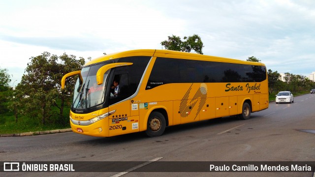 Santa Izabel 2020 na cidade de Brasília, Distrito Federal, Brasil, por Paulo Camillo Mendes Maria. Número da foto: #6287489.