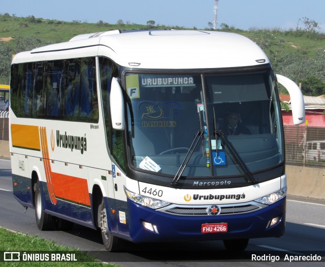 Auto Viação Urubupungá 4460 na cidade de Aparecida, São Paulo, Brasil, por Rodrigo  Aparecido. Número da foto: #6287943.