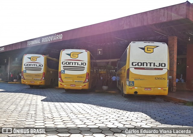 Empresa Gontijo de Transportes 12605 na cidade de Coronel Fabriciano, Minas Gerais, Brasil, por Carlos Eduardo Viana Lacerda. Número da foto: #6286697.