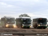 Turin Transportes FROTA na cidade de Conselheiro Lafaiete, Minas Gerais, Brasil, por Sérgio A.  B.  Canuto. Número da foto: #6288084.