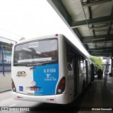 Transwolff Transportes e Turismo 6 6169 na cidade de São Paulo, São Paulo, Brasil, por Michel Nowacki. Número da foto: #6288681.