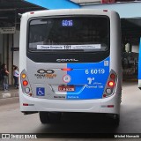 Transwolff Transportes e Turismo 6 6019 na cidade de São Paulo, São Paulo, Brasil, por Michel Nowacki. Número da foto: #6288644.