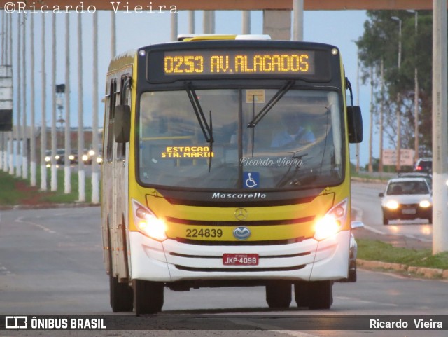 Viação Pioneira 224839 na cidade de Santa Maria, Distrito Federal, Brasil, por Ricardo Vieira. Número da foto: #6292454.