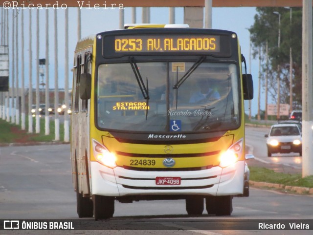 Viação Pioneira 224839 na cidade de Santa Maria, Distrito Federal, Brasil, por Ricardo Vieira. ID da foto: 6292454.