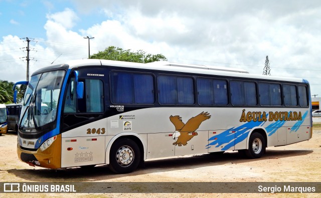 Águia Dourada 2043 na cidade de Aracaju, Sergipe, Brasil, por Sergio Marques . Número da foto: #6292331.