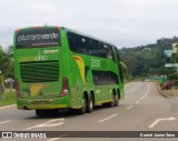 Pássaro Verde 12127 na cidade de Itabirito, Minas Gerais, Brasil, por Daniel Junior Sena. Número da foto: #6294635.
