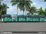 OT Trans - Ótima Salvador Transportes 20461 na cidade de Salvador, Bahia, Brasil, por Rodrigo Vieira. Número da foto: #:id.