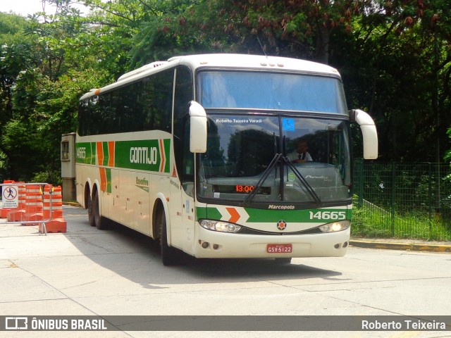 Empresa Gontijo de Transportes 14665 na cidade de São Paulo, São Paulo, Brasil, por Roberto Teixeira. ID da foto: 6299055.