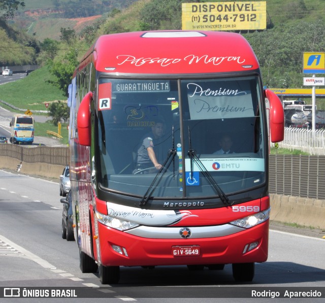 Empresa de Ônibus Pássaro Marron 5959 na cidade de Aparecida, São Paulo, Brasil, por Rodrigo  Aparecido. Número da foto: #6298937.