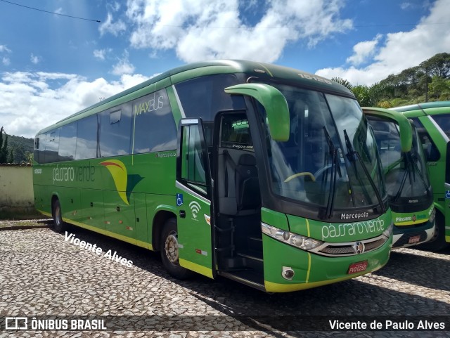 Pássaro Verde 15128 na cidade de Ouro Preto, Minas Gerais, Brasil, por Vicente de Paulo Alves. ID da foto: 6298457.