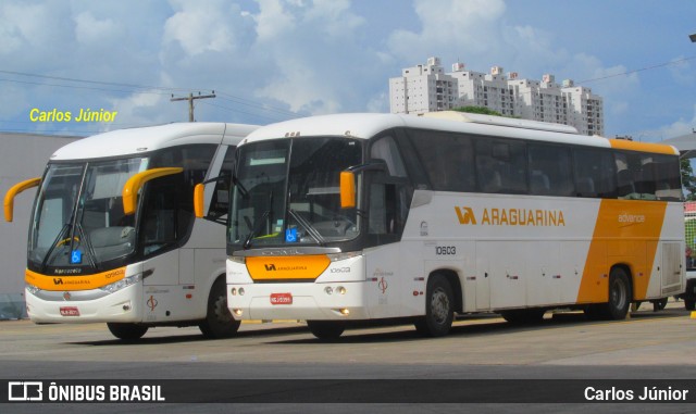 Viação Araguarina 10603 na cidade de Goiânia, Goiás, Brasil, por Carlos Júnior. Número da foto: #6298886.