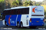 Flores Turismo 1010 na cidade de Viana, Espírito Santo, Brasil, por Saimom  Lima. Número da foto: #6298366.